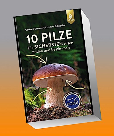 10 Pilze